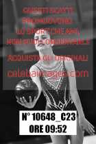 10648_C23