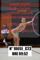 10651_C23