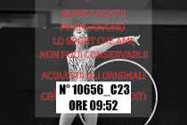 10656_C23