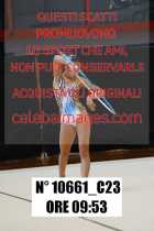 10661_C23