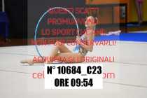 10684_C23
