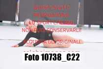 10738_C22