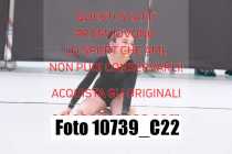 10739_C22