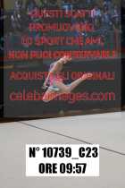 10739_C23