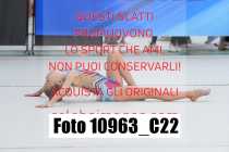 10963_C22