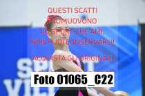 01065_C22