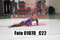 01078_C22