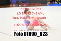 01090_C23