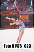 01475_C23