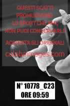 10778_C23