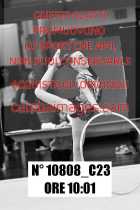 10808_C23