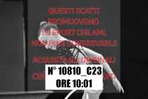 10810_C23