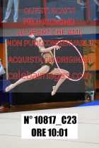 10817_C23