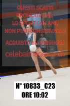 10833_C23