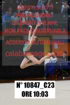 10847_C23