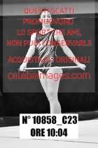 10858_C23