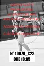 10878_C23