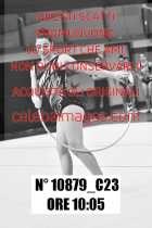 10879_C23