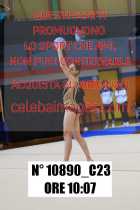 10890_C23
