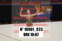10901_C23