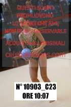 10903_C23