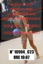 10904_C23