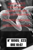 10905_C23