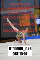 10909_C23
