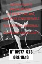 10977_C23
