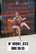 10981_C23