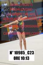 10985_C23