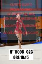 11008_C23