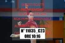 11035_C23