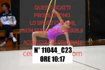 11044_C23