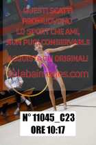 11045_C23