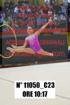 11050_C23
