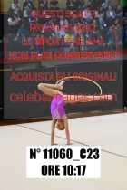 11060_C23