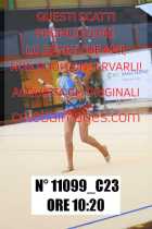 11099_C23