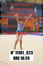 11101_C23