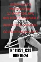11151_C23
