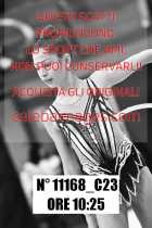 11168_C23