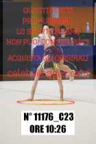11176_C23