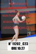 11202_C23