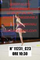 11231_C23
