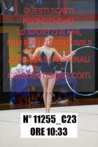 11255_C23