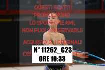 11262_C23