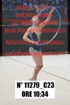11279_C23