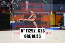 11292_C23