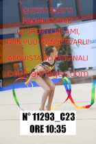 11293_C23