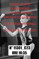 11301_C23